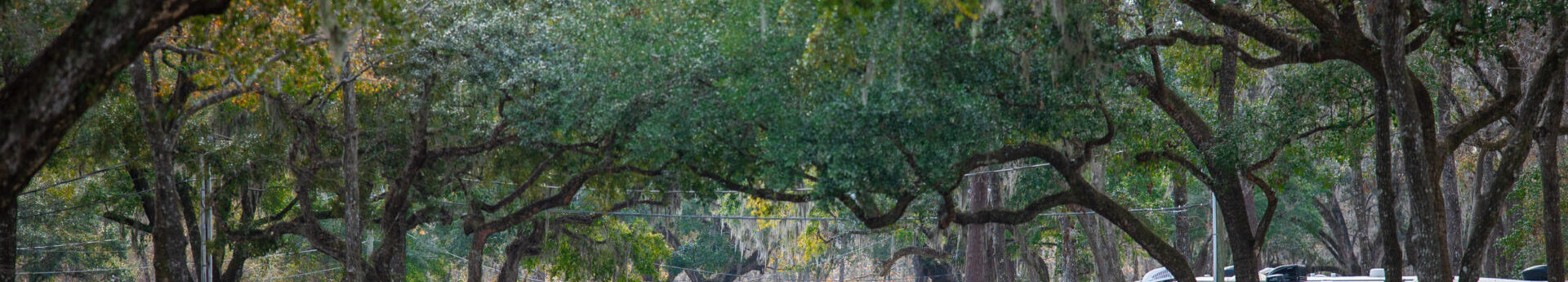 Savannah Oaks